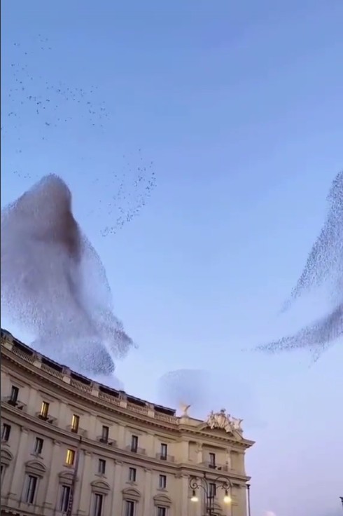 Bewegen in het Levensveld