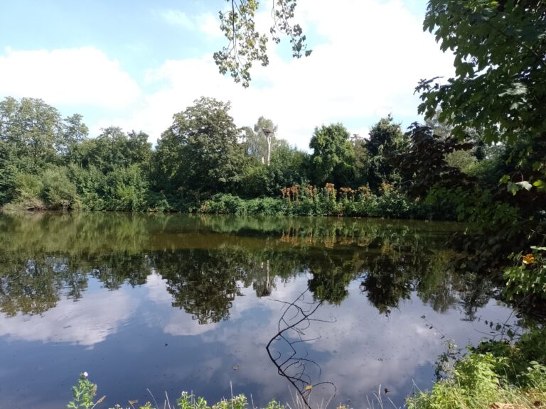 Natuur – natuurlijk